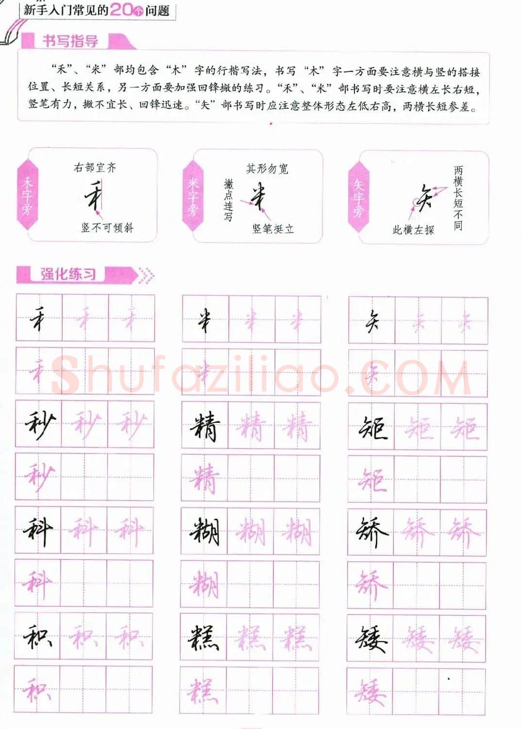 荆霄鹏硬笔行楷字帖《新手入门常见的20个问题》 | 硬笔书法字帖