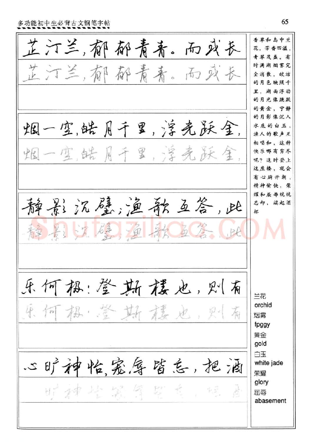 任平钢笔行书字帖《初中生必背古文》 | 硬笔书法字帖
