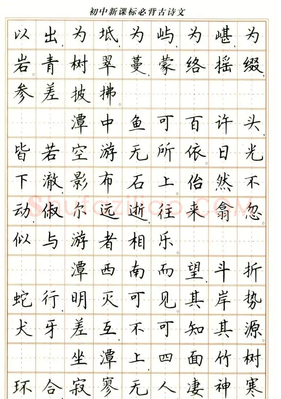 卢中南钢笔楷书字帖《初中新课标必背古诗文》 | 钢笔书法字帖
