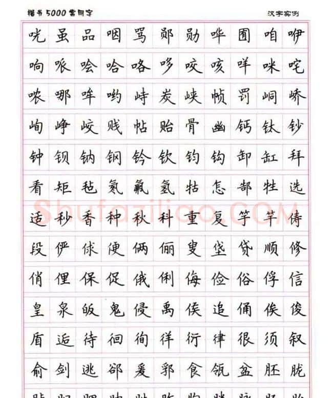 卢中南硬笔书法5000常用字楷书字帖 | 钢笔书法字帖
