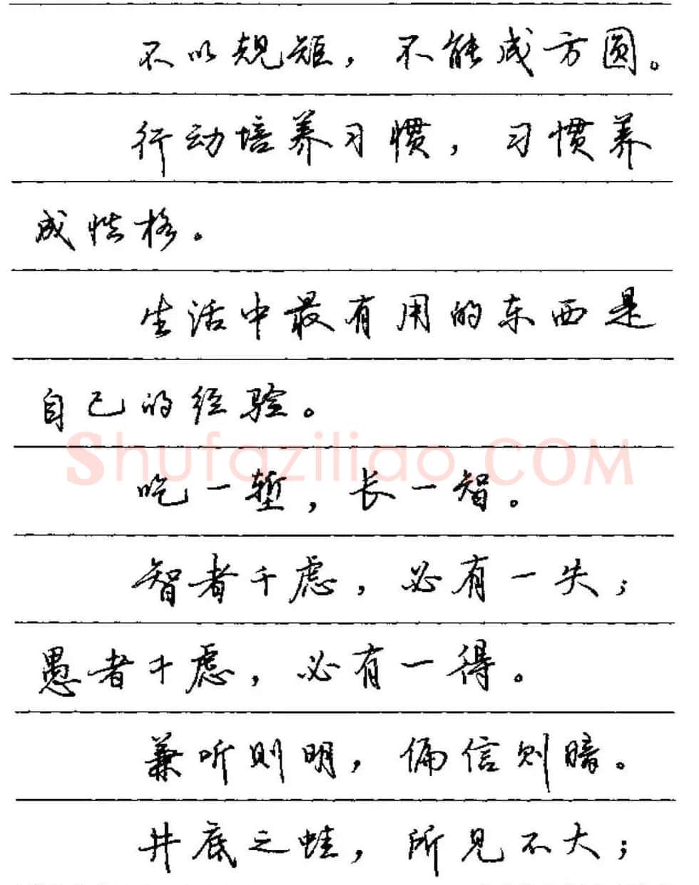 卢中南硬笔字帖《谚语名句》行书篇 | 钢笔书法字帖