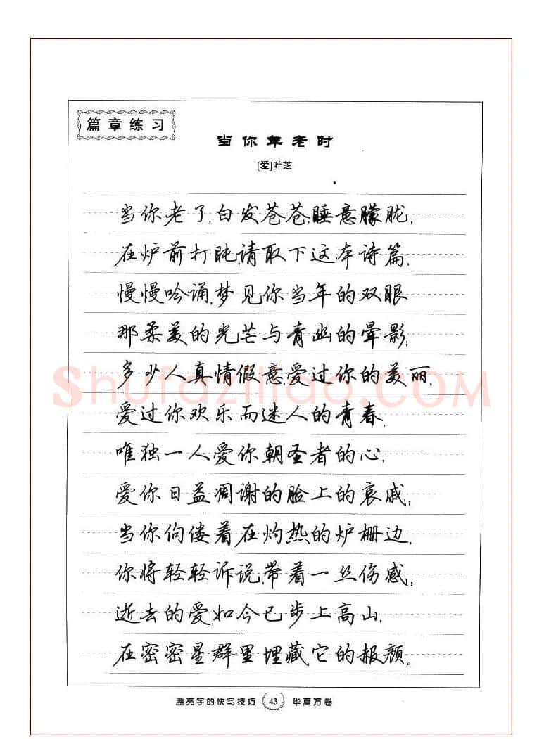 田英章行书漂亮字的快写技巧 | 钢笔书法字帖