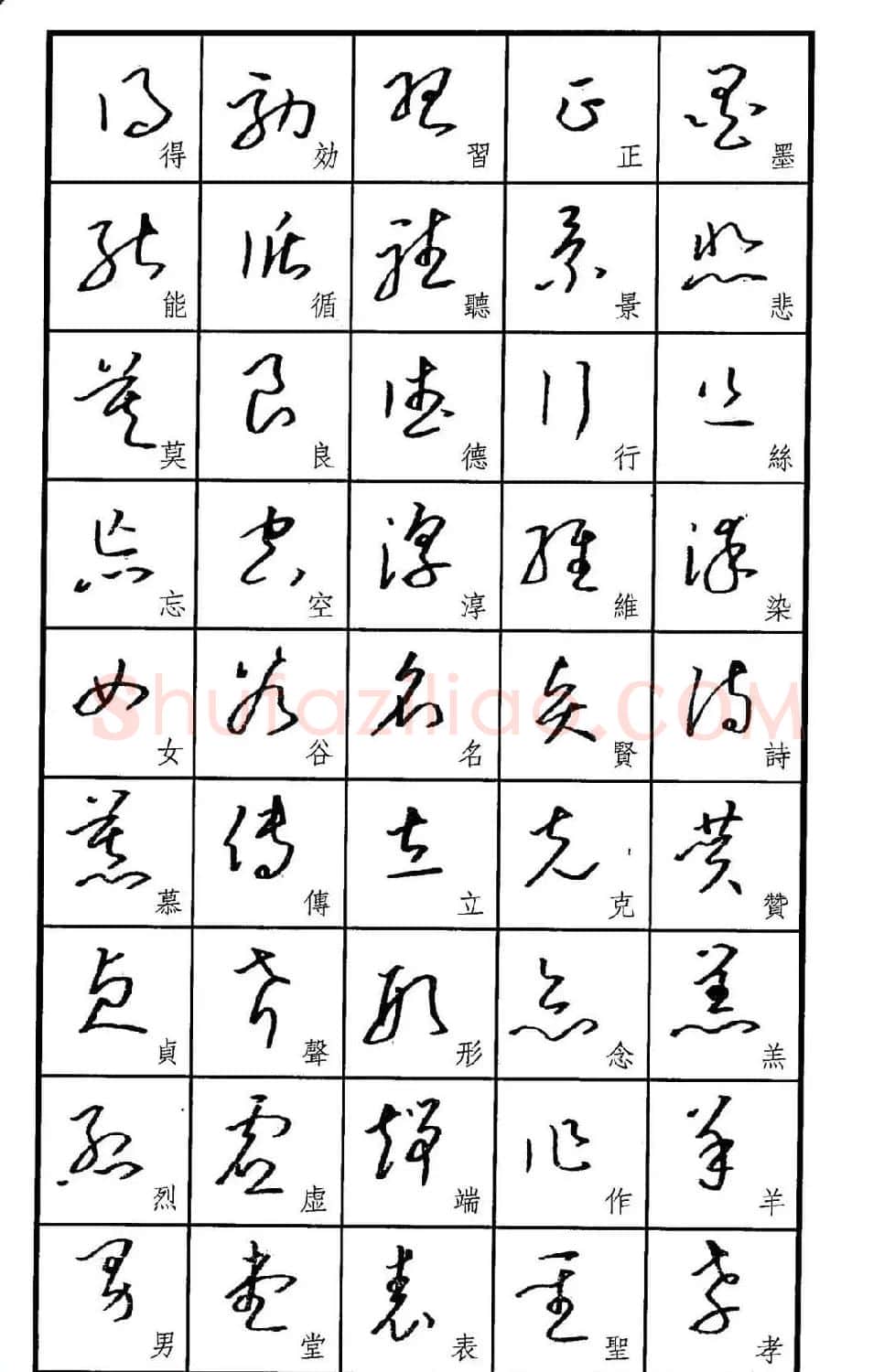 梧桐钢笔书帖《标准草书范字》 | 硬笔书法字帖