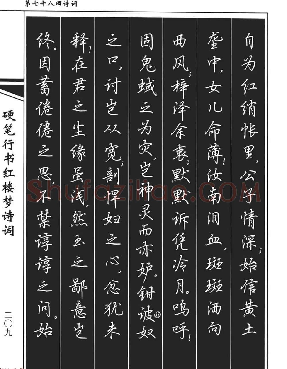 吴玉生钢笔字帖欣赏《硬笔行书红楼梦诗词》 | 硬笔书法字帖