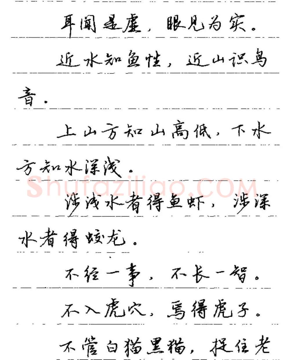 卢中南硬笔字帖《谚语名句》行书篇 | 钢笔书法字帖