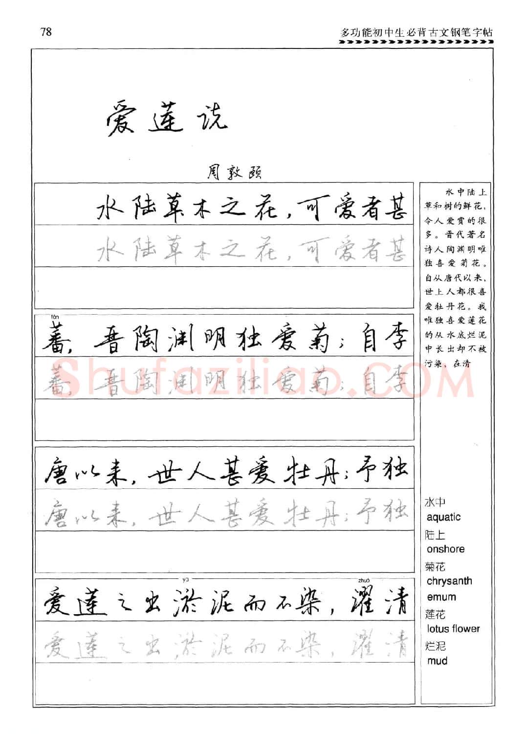 任平钢笔行书字帖《初中生必背古文》 | 硬笔书法字帖