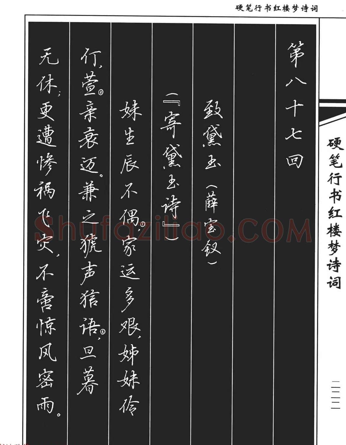 吴玉生钢笔字帖欣赏《硬笔行书红楼梦诗词》 | 硬笔书法字帖
