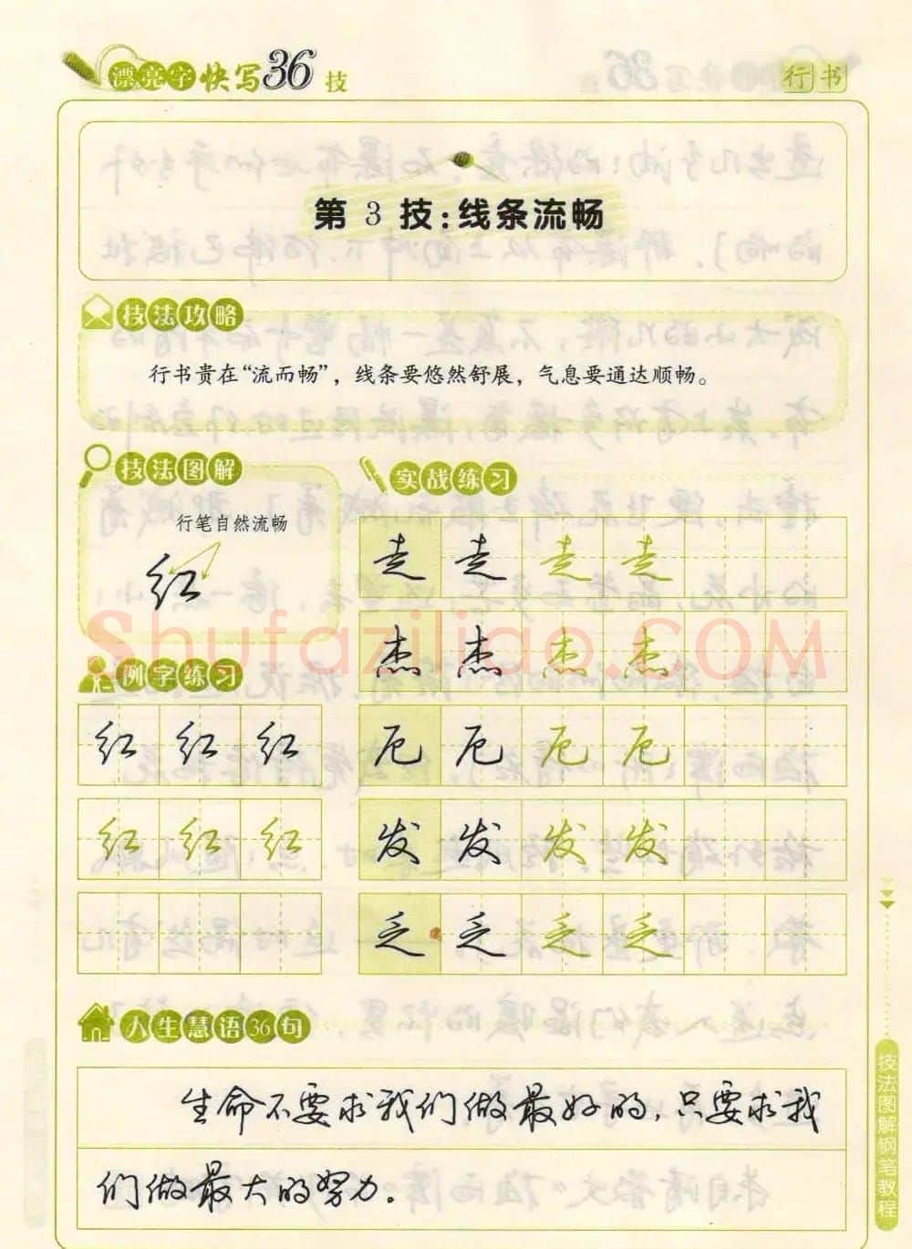 荆霄鹏钢笔行书字帖《漂亮字快写36技》 | 钢笔书法字帖
