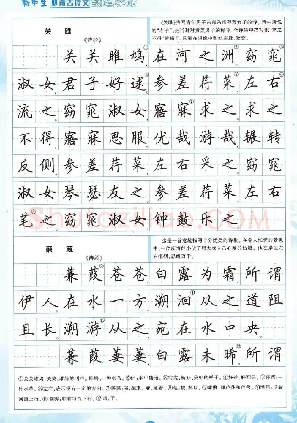 田英章钢笔字帖欣赏《初中生必背古诗文》 | 钢笔书法字帖