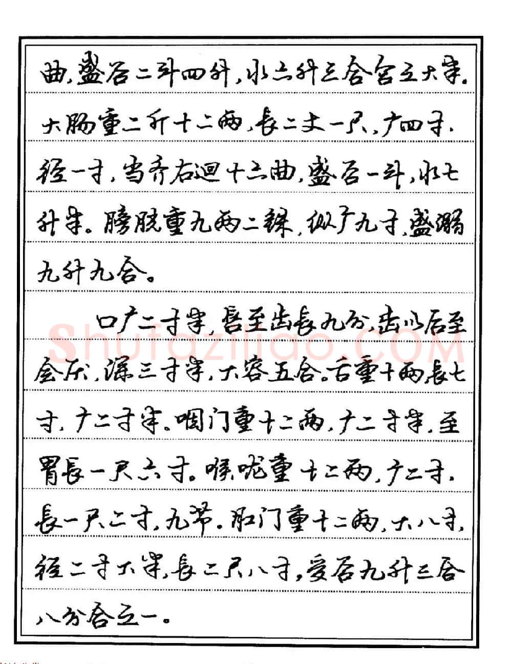 苏德生硬笔书法《中医经典钢笔字帖·难经》 | 硬笔书法字帖