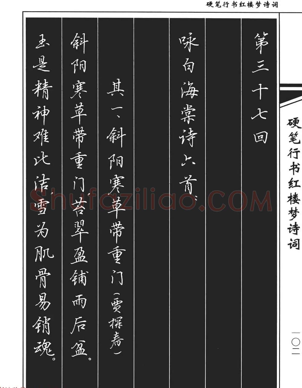 吴玉生钢笔字帖欣赏《硬笔行书红楼梦诗词》 | 硬笔书法字帖