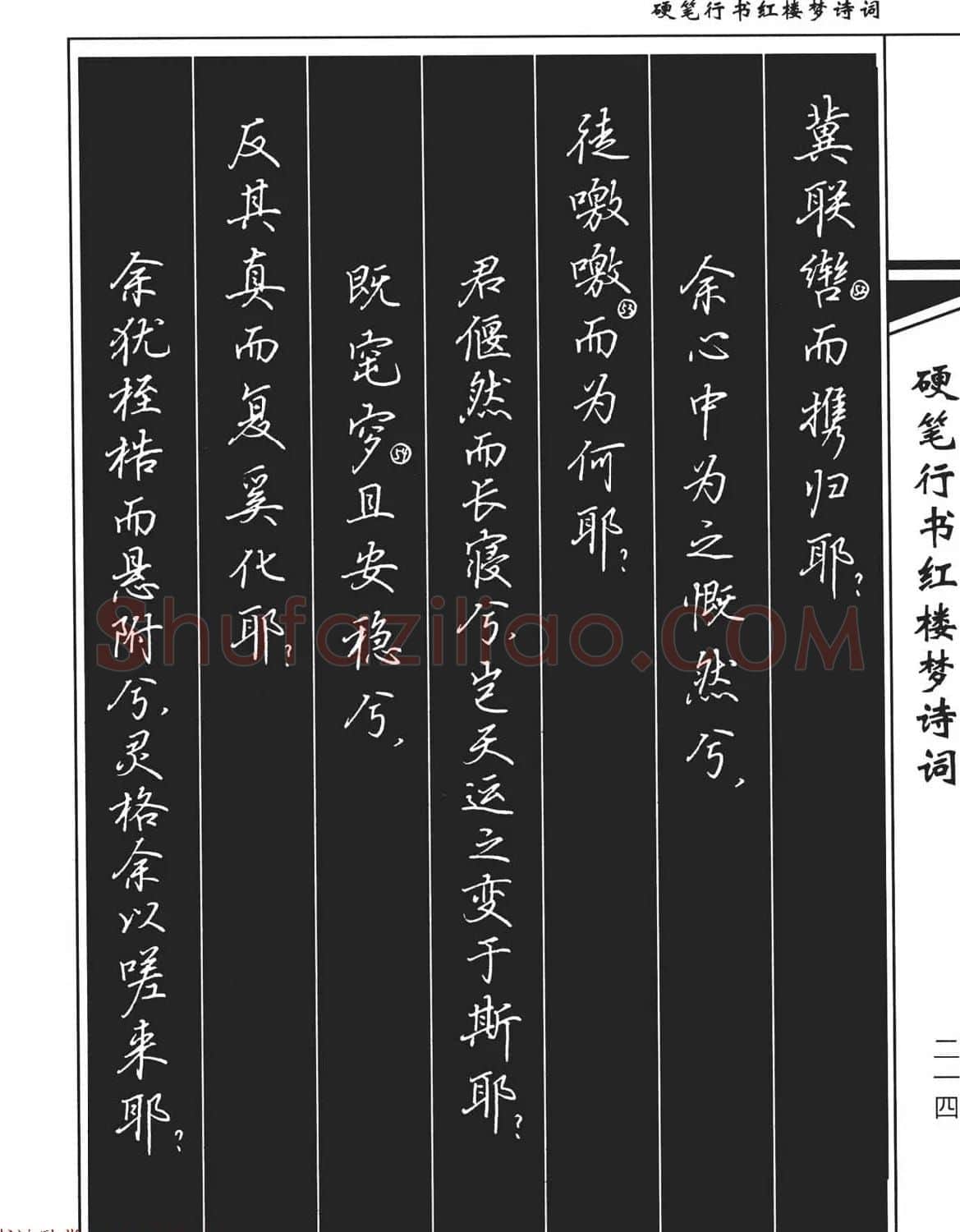 吴玉生钢笔字帖欣赏《硬笔行书红楼梦诗词》 | 硬笔书法字帖