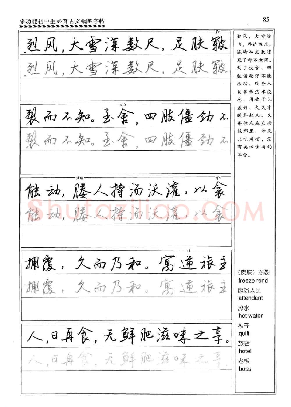 任平钢笔行书字帖《初中生必背古文》 | 硬笔书法字帖