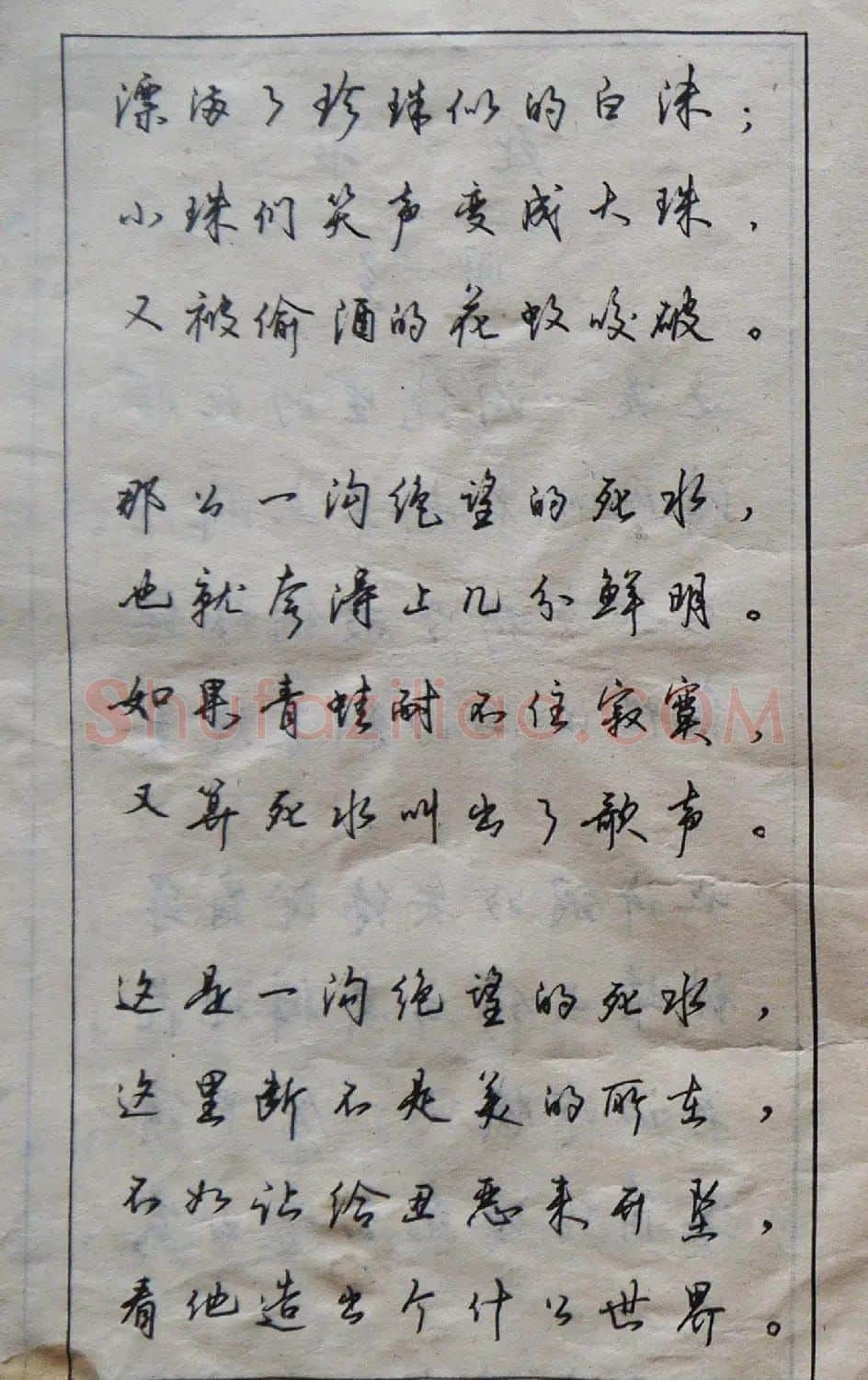 沈鸿根楷书行书草书三体钢笔习字帖 | 钢笔书法字帖