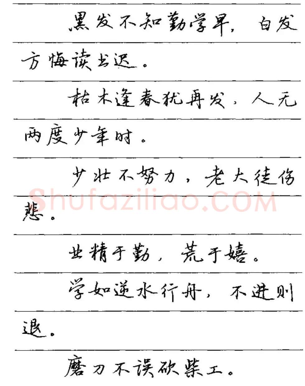 卢中南硬笔字帖《谚语名句》行书篇 | 钢笔书法字帖