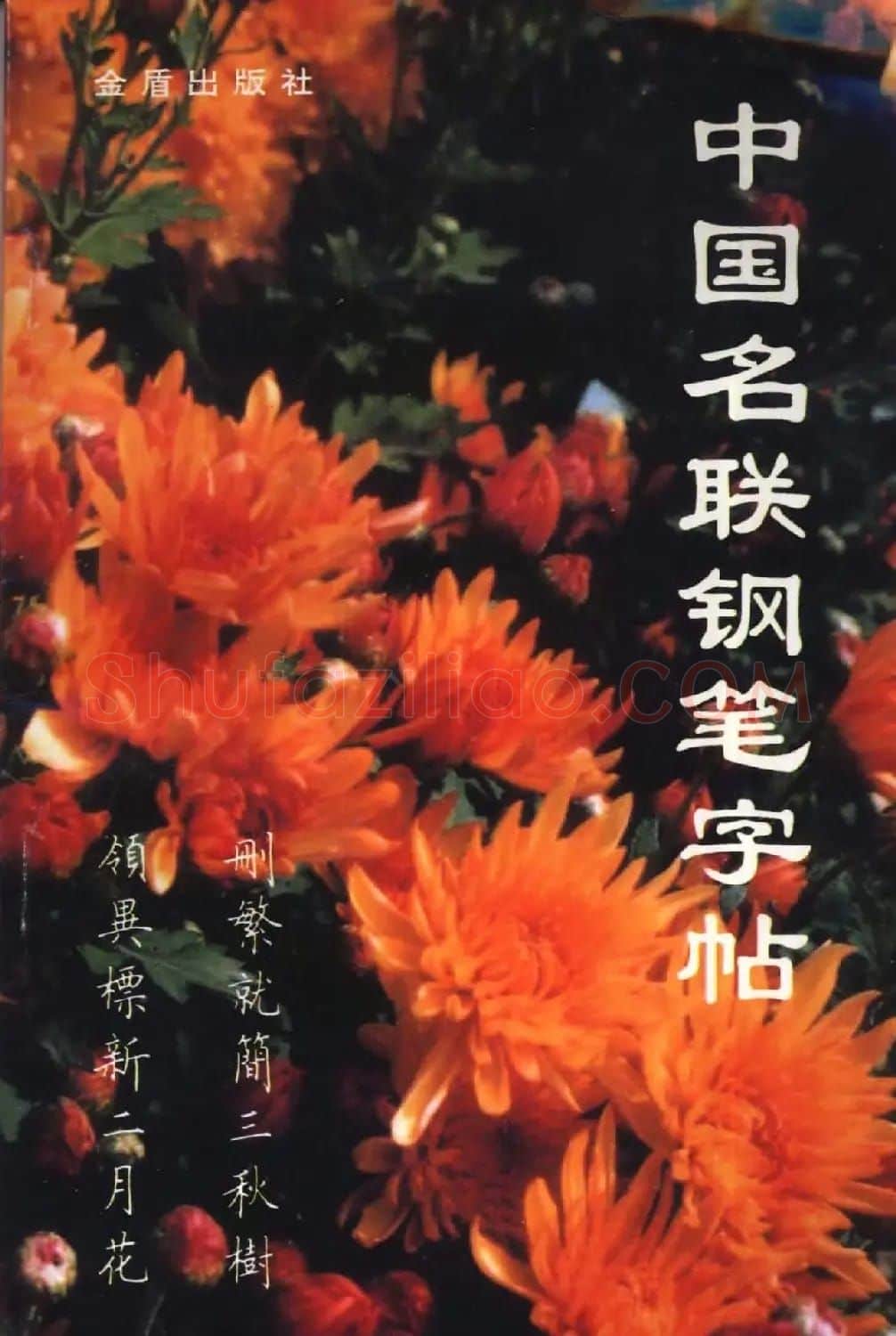 卢中南楷书《中国名联钢笔字帖》 | 钢笔书法字帖