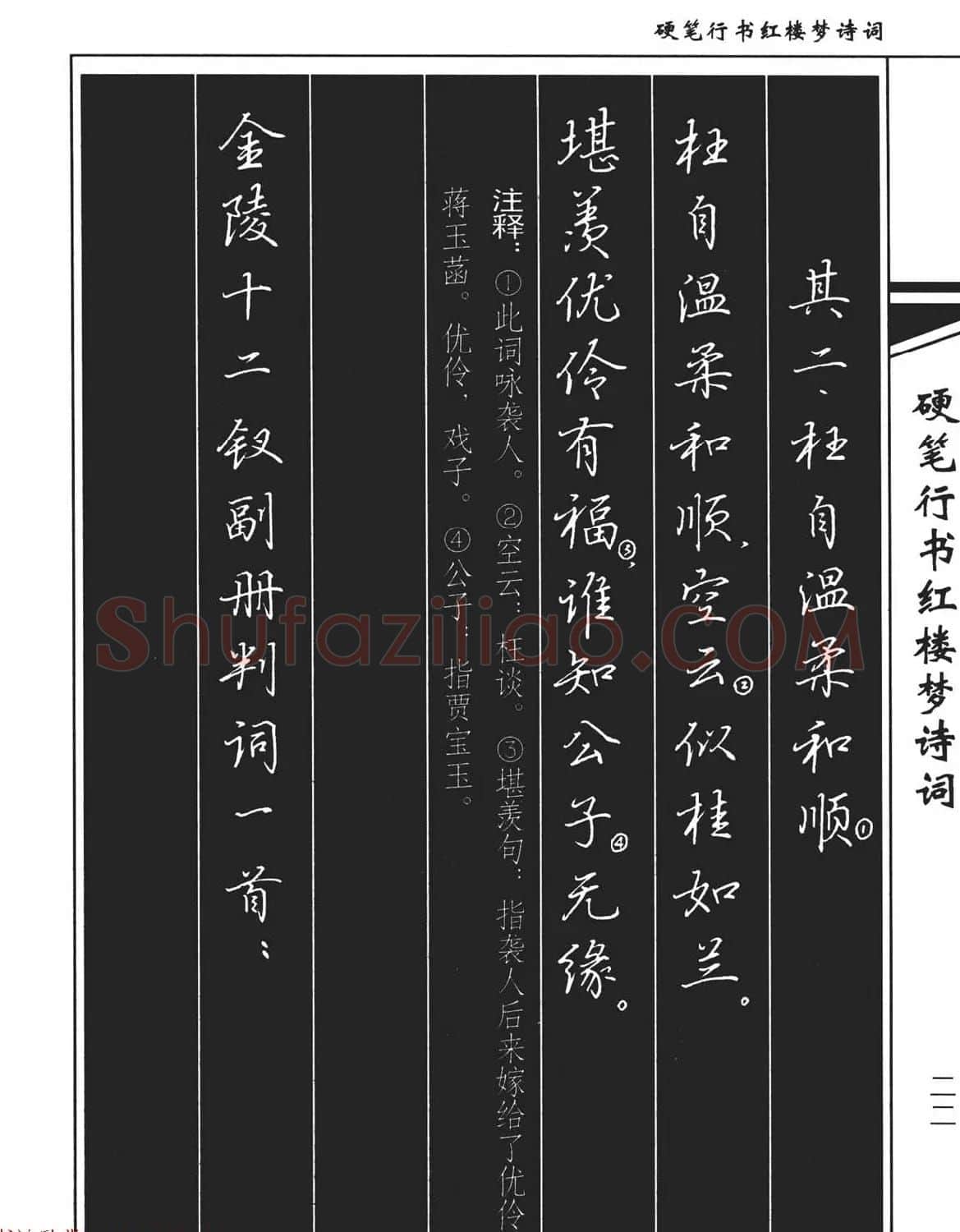 吴玉生钢笔字帖欣赏《硬笔行书红楼梦诗词》 | 硬笔书法字帖
