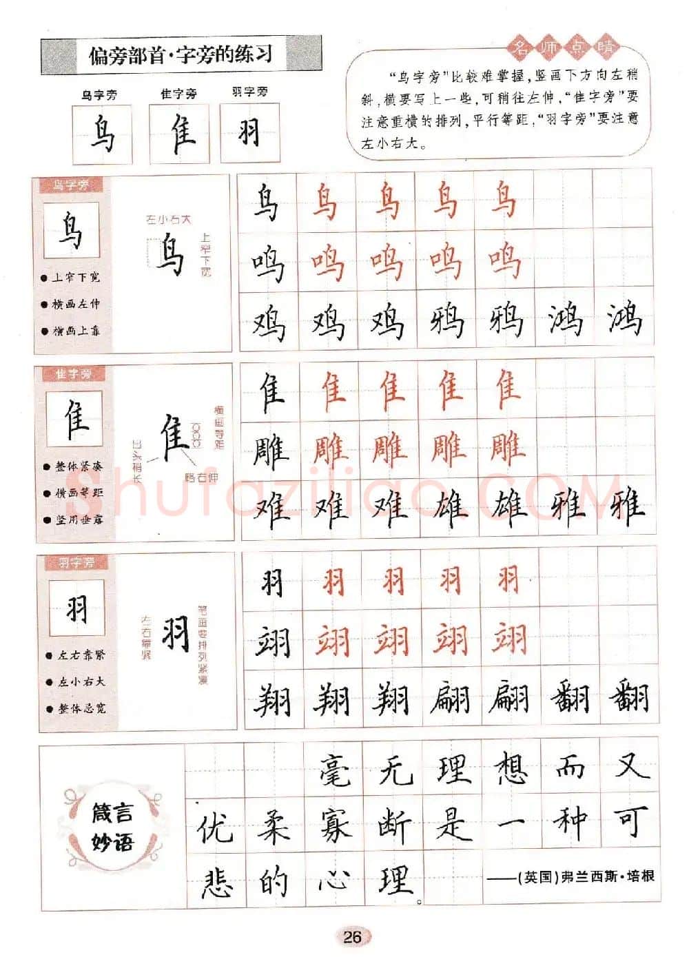田英章钢笔楷书字帖《无师自通学书法》 | 硬笔书法字帖