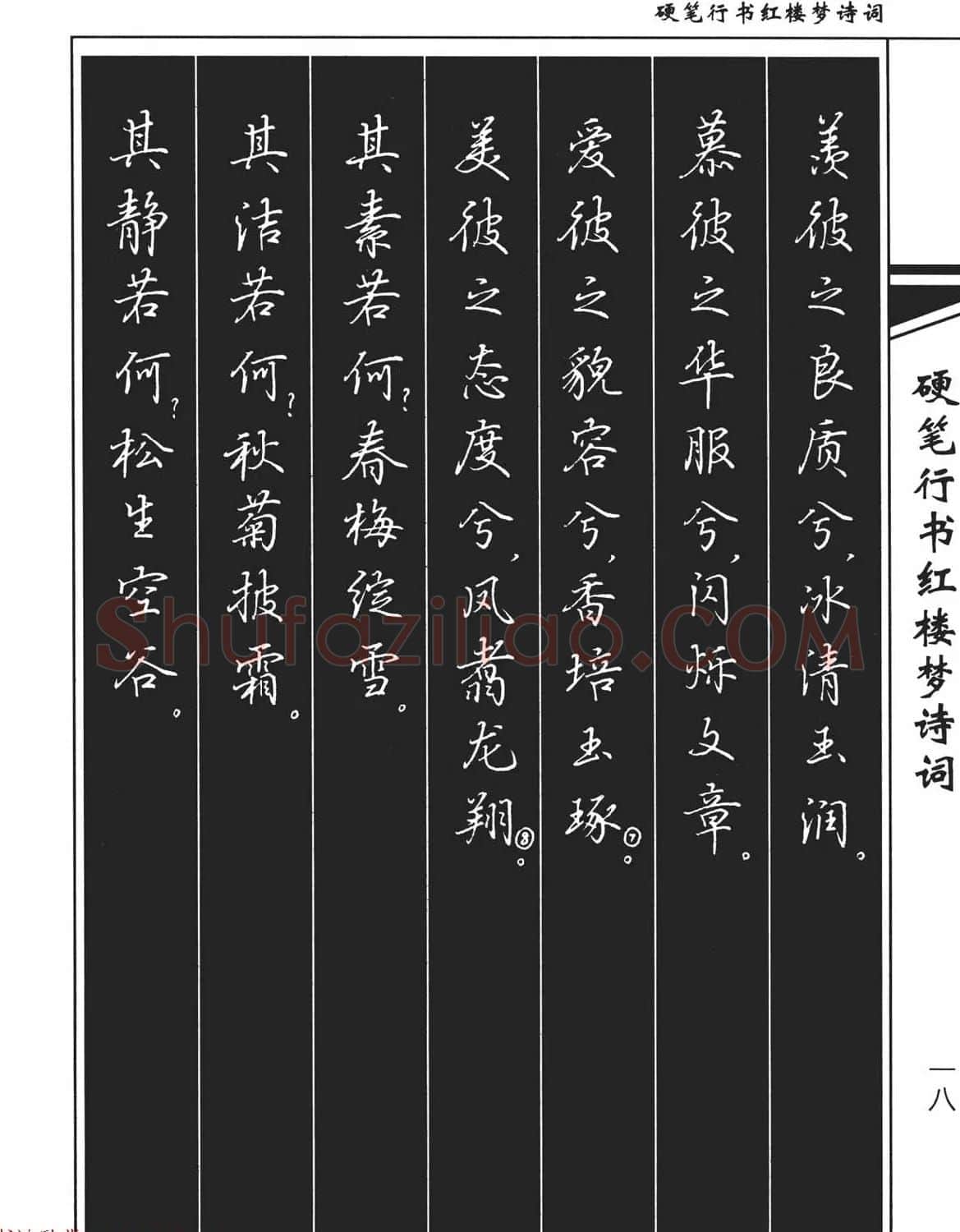 吴玉生钢笔字帖欣赏《硬笔行书红楼梦诗词》 | 硬笔书法字帖