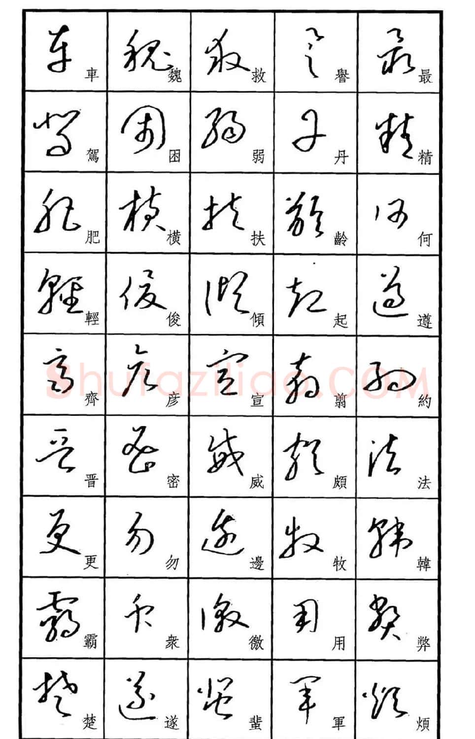 梧桐钢笔书帖《标准草书范字》 | 硬笔书法字帖