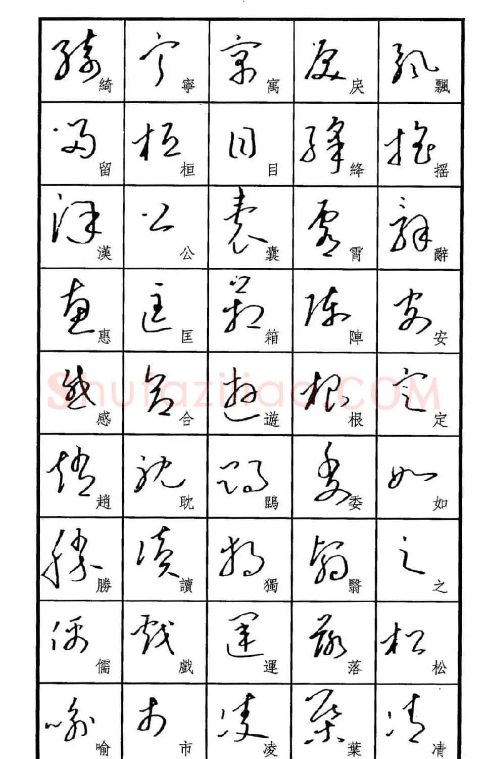 梧桐钢笔书帖《标准草书范字》 | 硬笔书法字帖