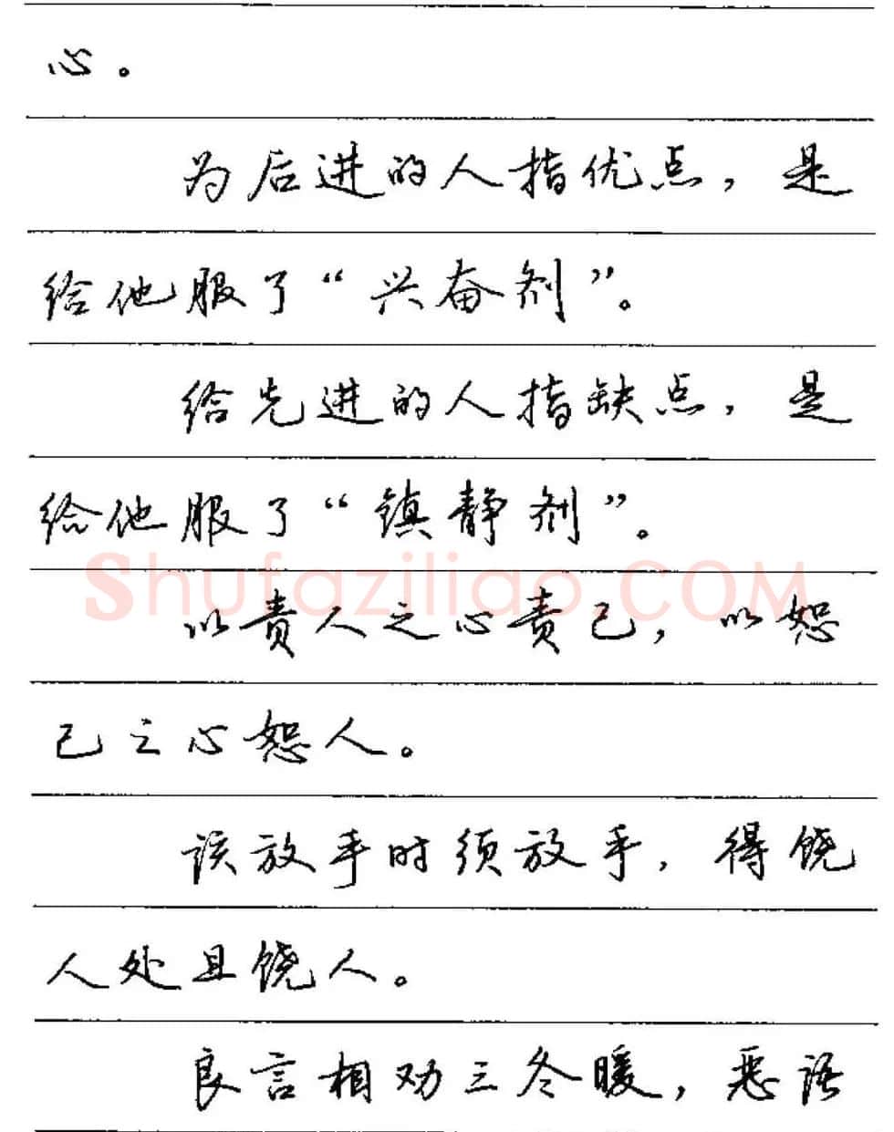 卢中南硬笔字帖《谚语名句》行书篇 | 钢笔书法字帖