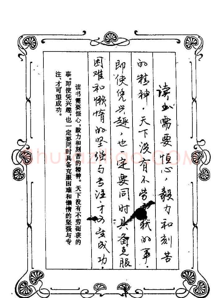 赵忱硬笔书法字帖《罗兰小语钢笔书法》 | 钢笔书法字帖