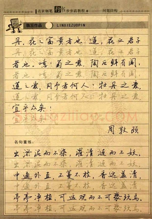 名家钢笔行书字帖：间架结构教程 | 钢笔书法字帖