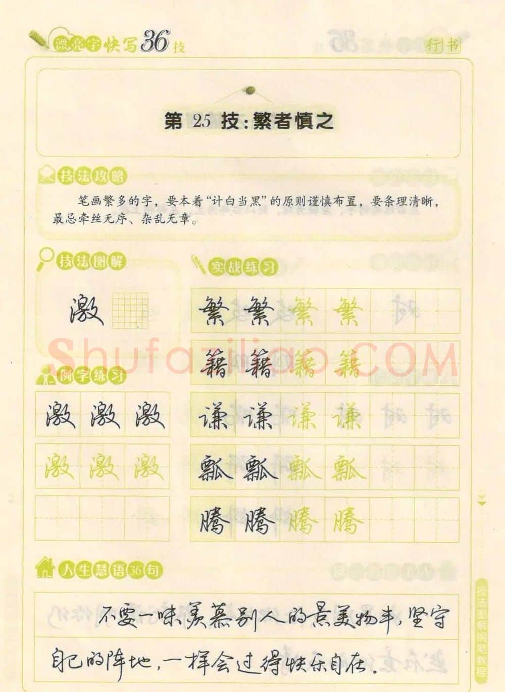 荆霄鹏钢笔行书字帖《漂亮字快写36技》 | 钢笔书法字帖