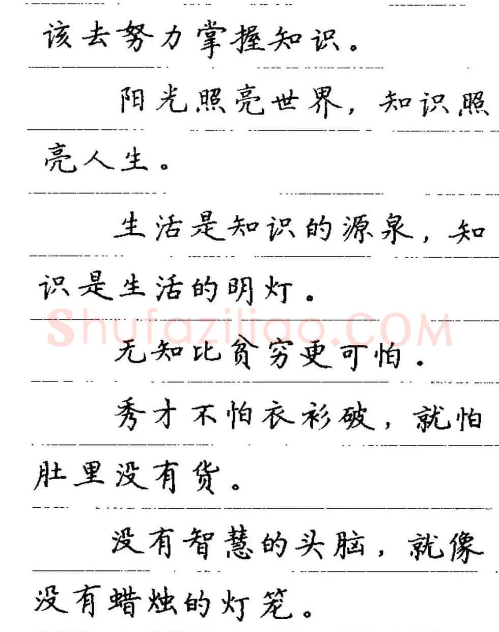 卢中南钢笔字帖《谚语名句》楷书篇 | 硬笔书法字帖