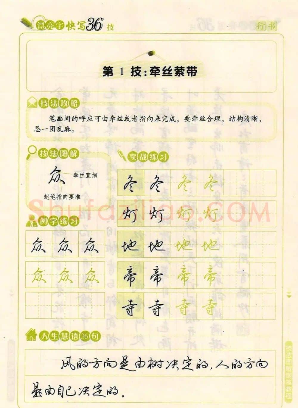荆霄鹏钢笔行书字帖《漂亮字快写36技》 | 钢笔书法字帖
