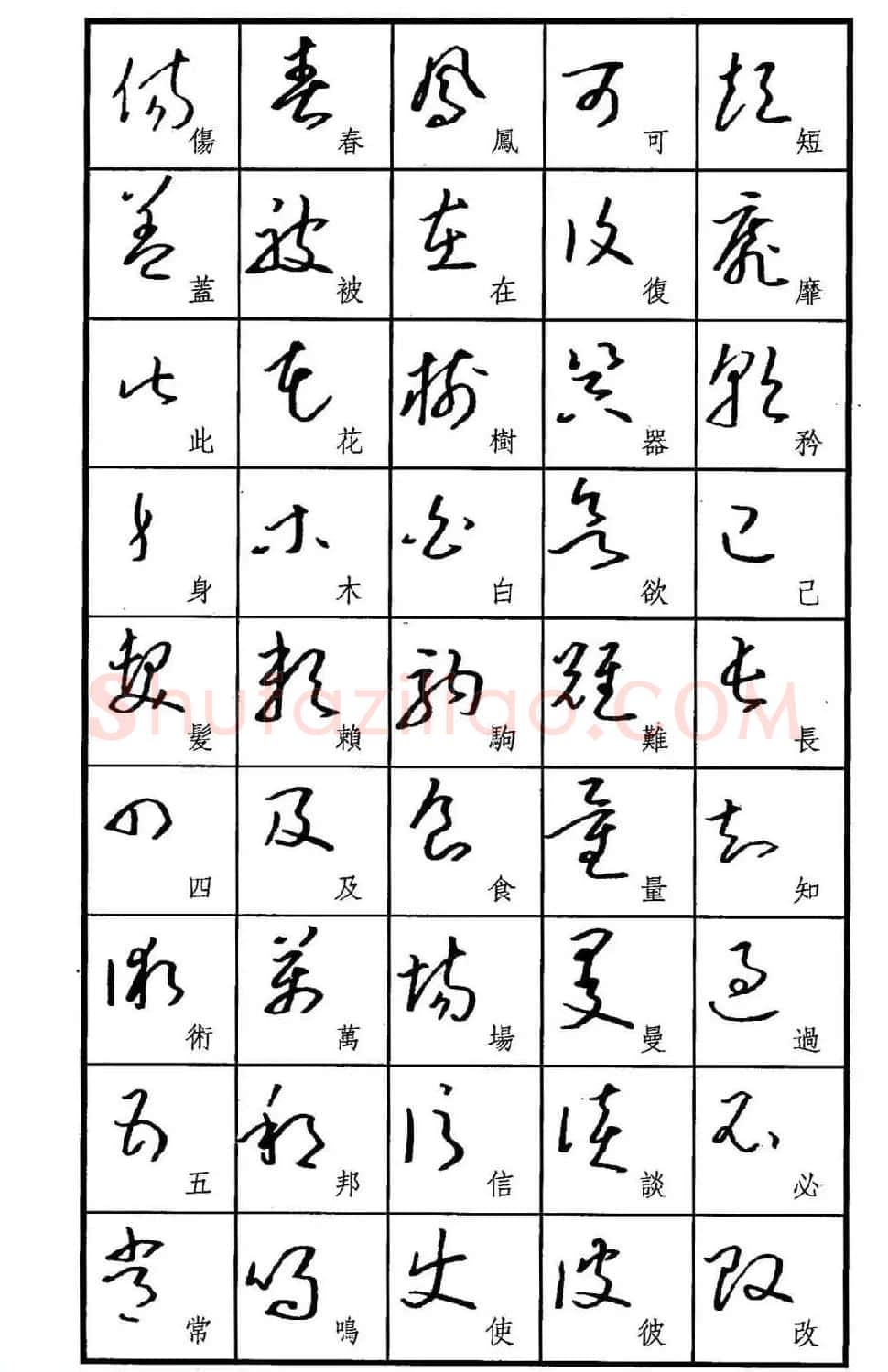 梧桐钢笔书帖《标准草书范字》 | 硬笔书法字帖