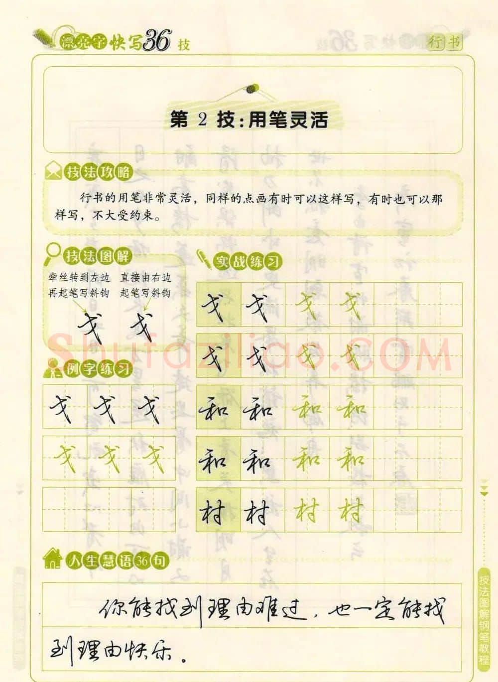 荆霄鹏钢笔行书字帖《漂亮字快写36技》 | 钢笔书法字帖
