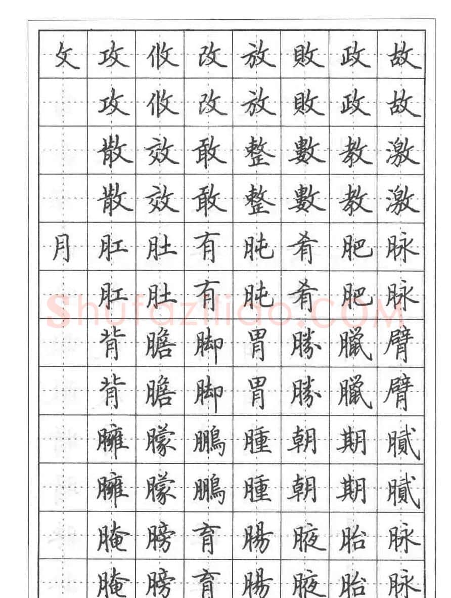 田英章硬笔书法教程:楷书偏旁部首技法篇 | 钢笔书法字帖