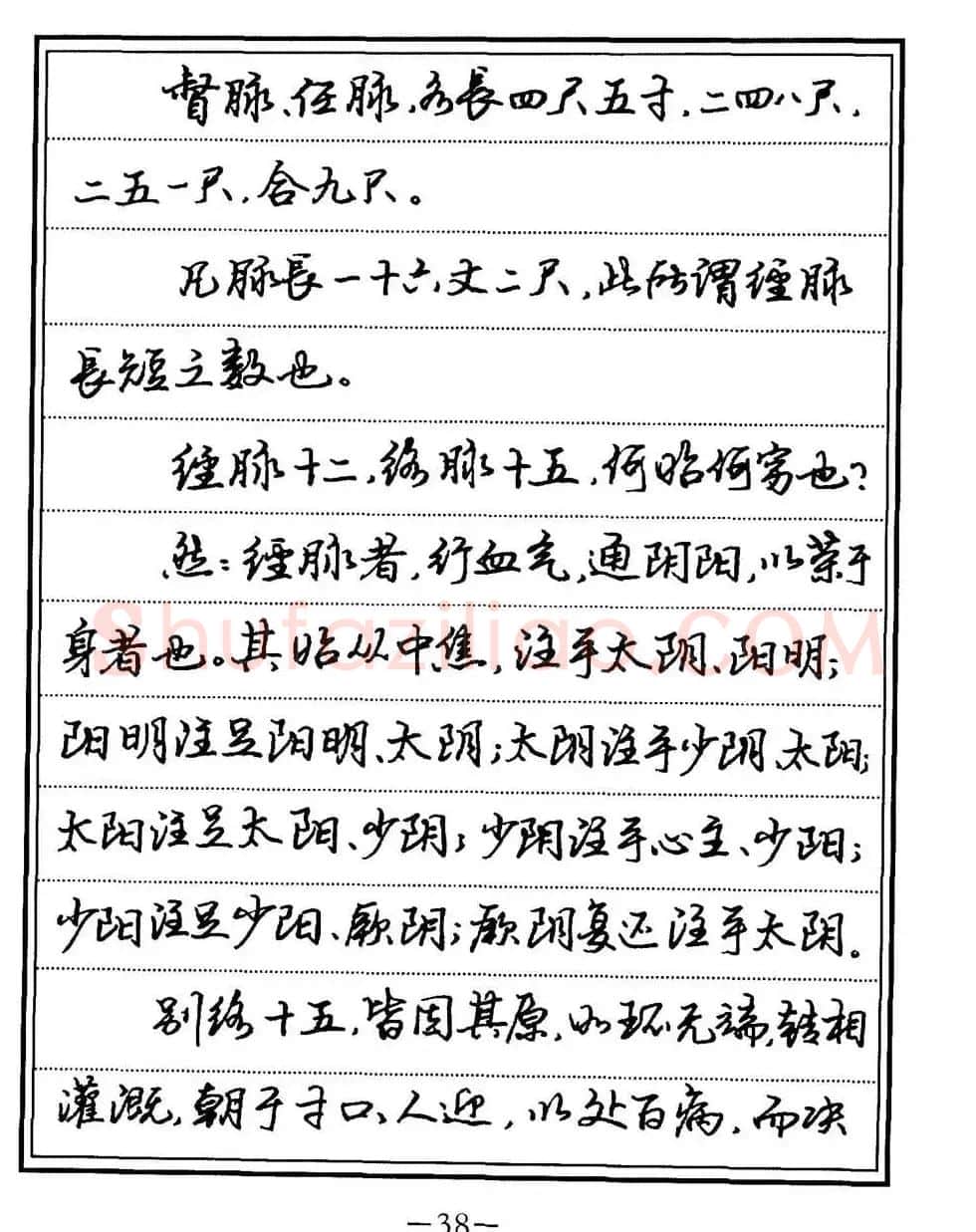苏德生书法《中医经典钢笔字帖难经》 | 硬笔书法字帖