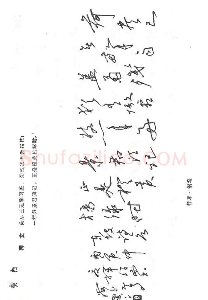 沈鸿根硬笔书法字帖《江鸟钢笔书法》 | 钢笔书法字帖