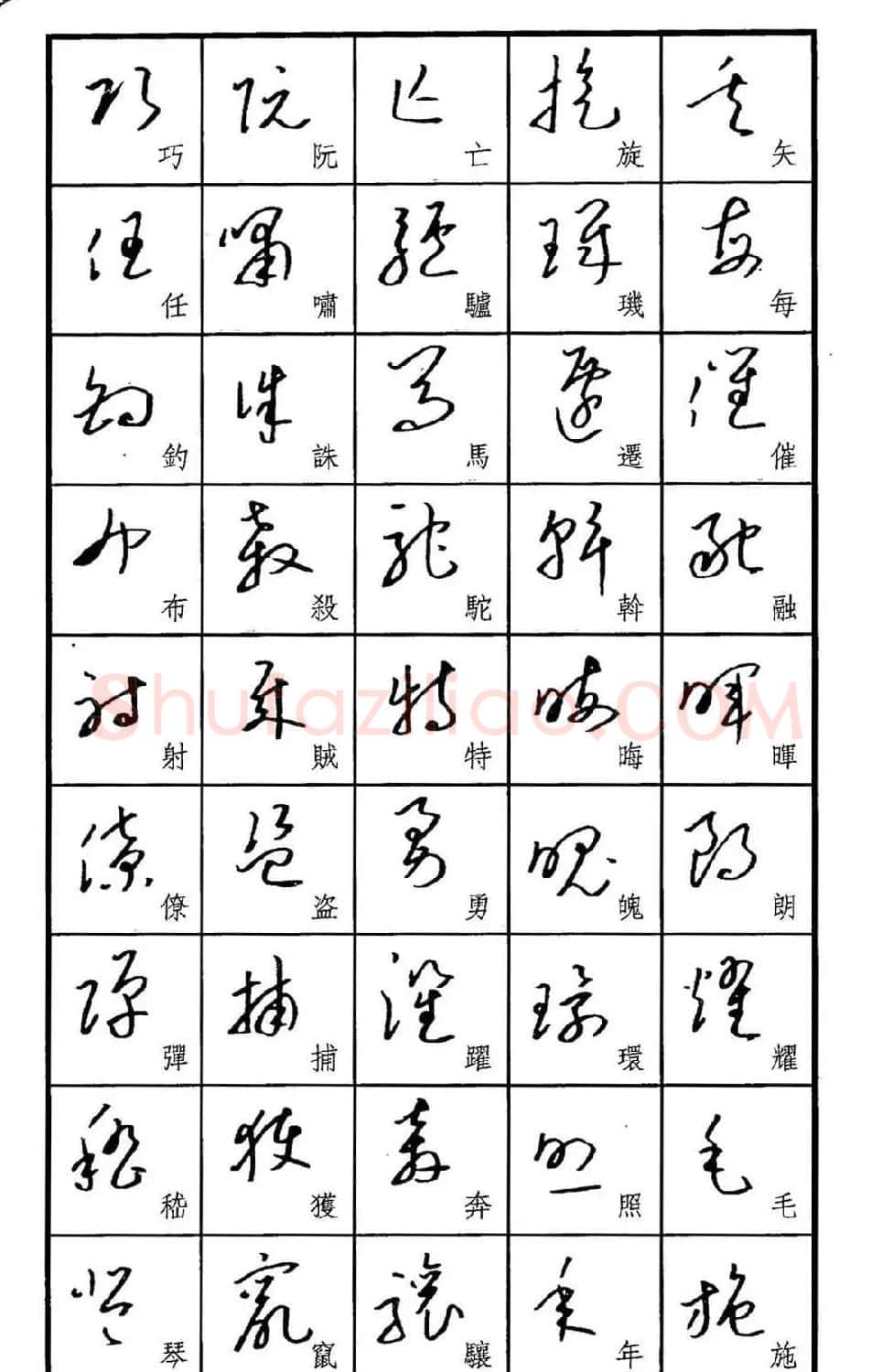 梧桐钢笔书帖《标准草书范字》 | 硬笔书法字帖