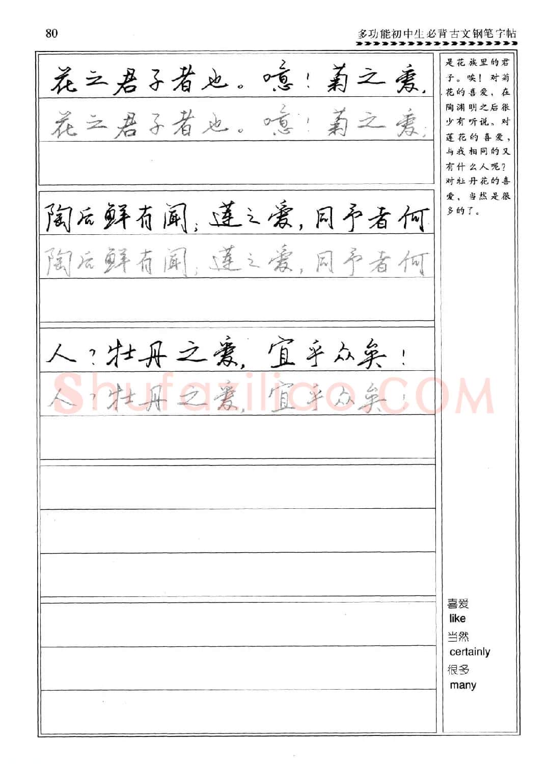 任平钢笔行书字帖《初中生必背古文》 | 硬笔书法字帖