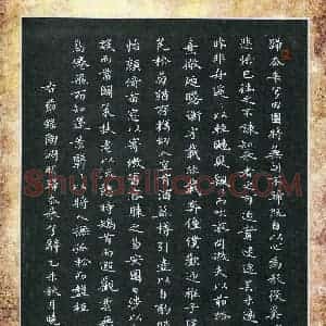 徐晓辉(成人组 优秀奖)硬笔书法大赛 获奖作品图片欣赏