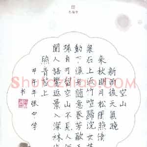 张宁(少儿组 14岁)硬笔书法大赛 入围作品选登图片欣赏