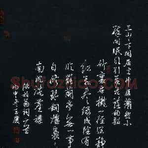 唐玉庆 硬笔行书作品《陆放翁词二首》图片欣赏