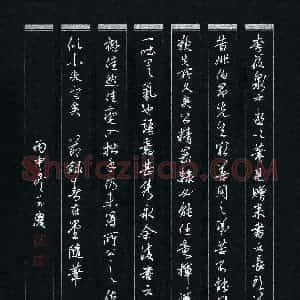 唐玉庆 硬笔行书作品《节录春在堂随笔》图片欣赏