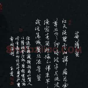 唐玉庆 硬笔行书作品《陆游词菩萨蛮一首》图片欣赏