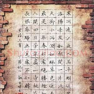 盛书城 硬笔楷书作品《古诗三首》图片欣赏