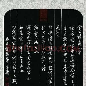 唐玉庆 硬笔行书作品《春在堂随笔》图片欣赏