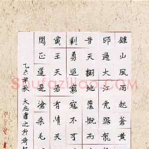 王大志(成人组 优秀奖)硬笔书法大赛 获奖作品图片欣赏