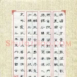 林美丹(少儿组 13岁)硬笔书法大赛 入围作品选登图片欣赏