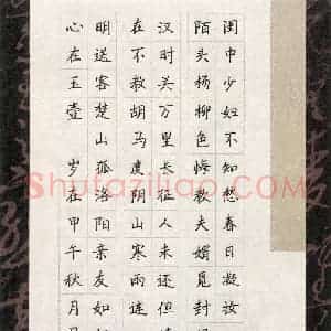 吴津屹(少儿组 14岁)硬笔书法大赛 入围作品选登图片欣赏