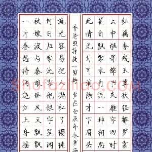 罗扬 硬笔楷书作品《宋词二首》图片欣赏