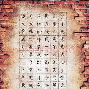 王之裔(少儿组 10岁)硬笔书法大赛 入围作品选登图片欣赏